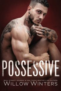 Possessive by Willow Winters Release Blitz & Review
