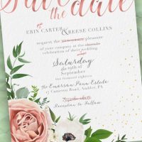 Save the Date by Carrie Aarons Release & Review