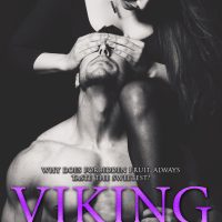 Viking by Kylie Hillman Blog Tour & Review