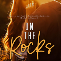 On the Rocks by Kandi Steiner Blog Tour & Review