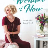 The Wonder of Now by Jamie Beck Release & Review