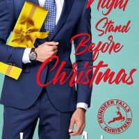 The One Night Stand Before Christmas by Jana Aston Release & Review